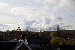 DSC_6882fx.jpg