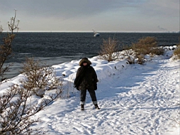 IMG_1725fx.jpg
