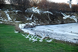 DSC_7046fx.jpg