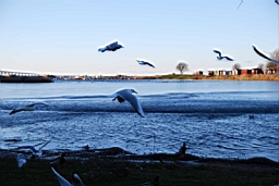 DSC_7055fx.jpg