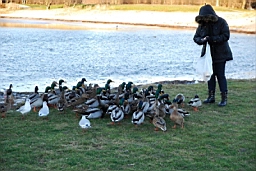 DSC_7078fx.jpg