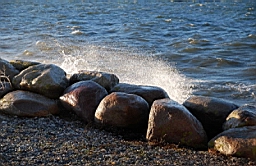 DSC_7109fx.jpg