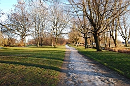 DSC_7112fx.jpg