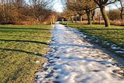 DSC_7114fx.jpg