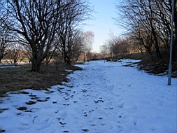 IMG_2012fx.jpg