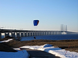 IMG_2023fx.jpg