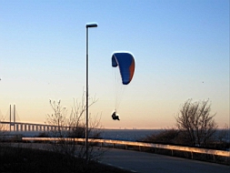 IMG_2028fx.jpg