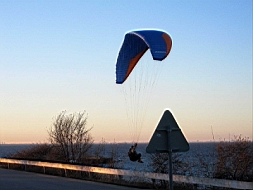 IMG_2031fx.jpg