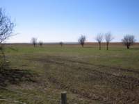 img_2401fx_small.jpg
