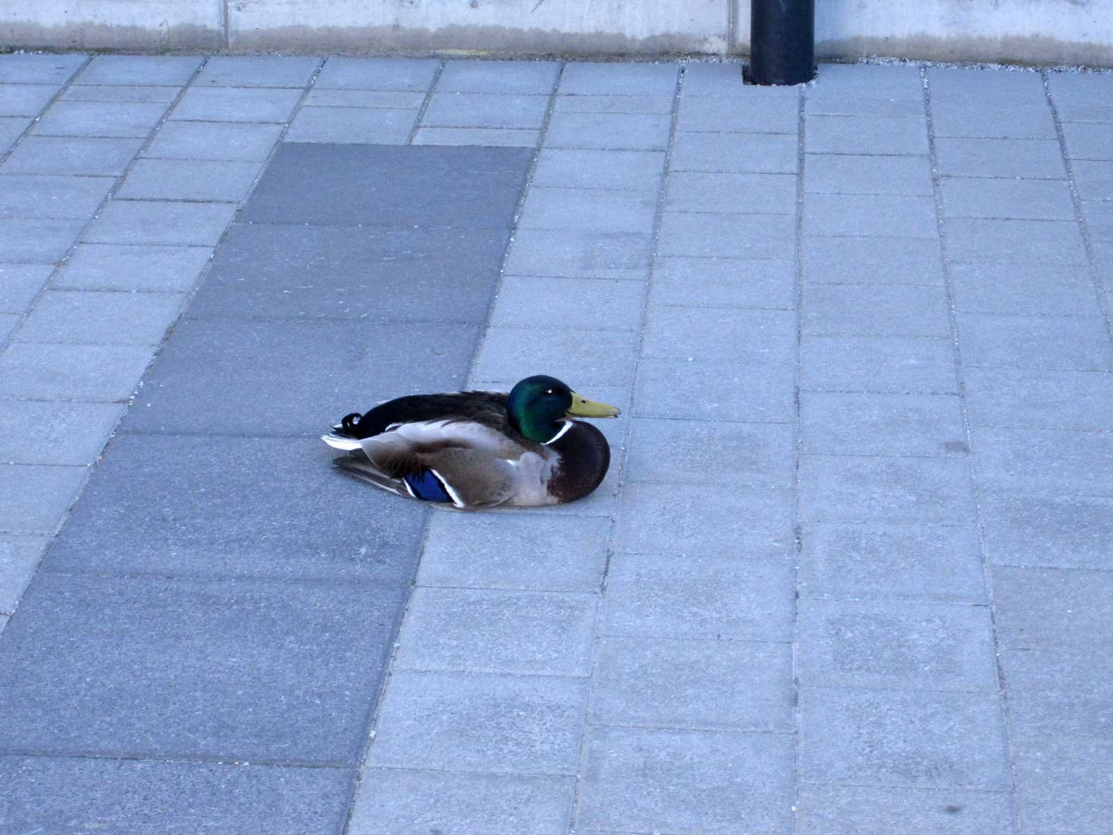 img_2404fx.jpg