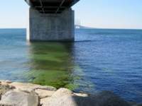 img_2667fx_small.jpg