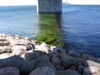img_2669fx_small.jpg