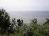 img_3156fx_small.jpg