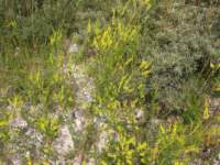 img_3159fx_small.jpg