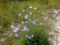 img_3160fx_small.jpg