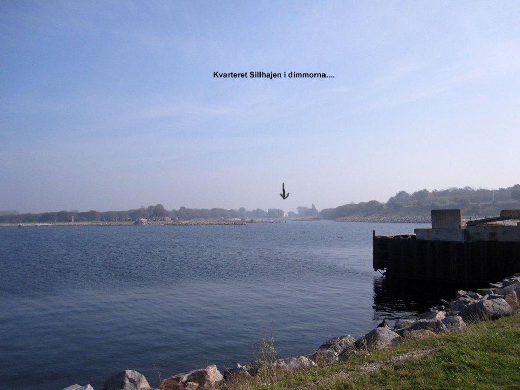 img_3713fx.jpg