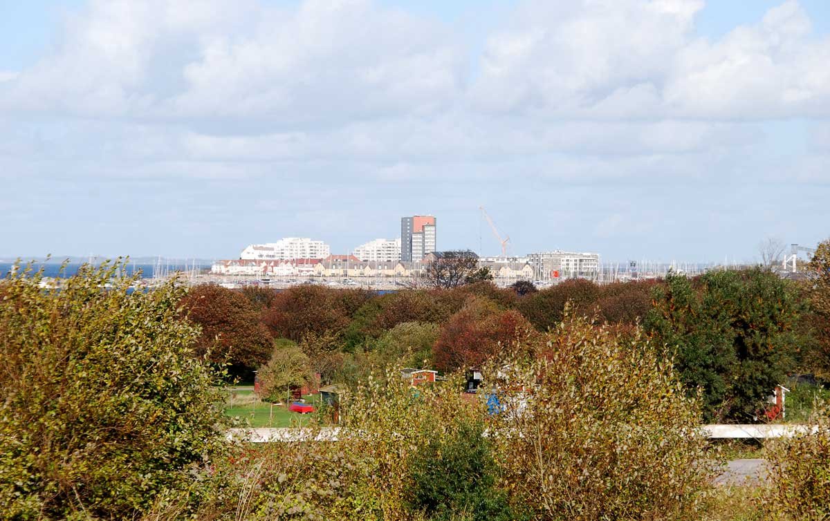 dsc_7988fx.jpg