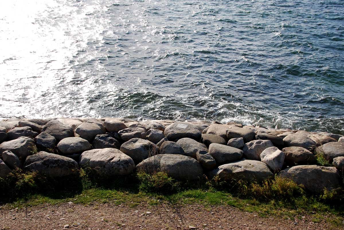 dsc_7995fx.jpg