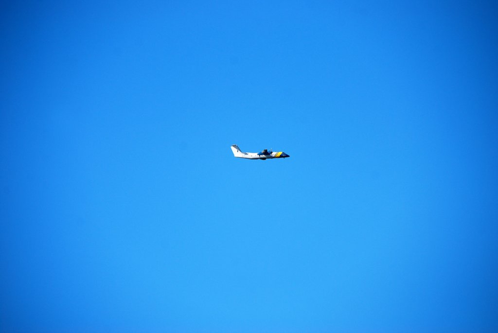 dsc_8039fx.jpg