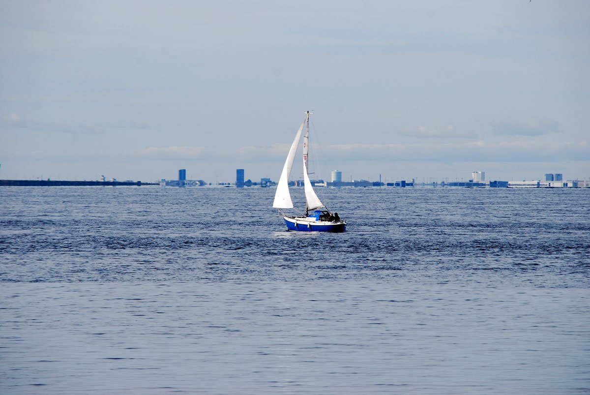 dsc_8099fx.jpg