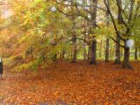 img_3778fx_small.jpg