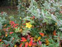 img_3780fx_small.jpg