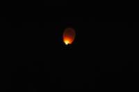dsc_8266fx_small.jpg