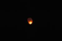 dsc_8267fx_small.jpg