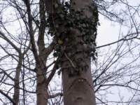 img_3987fx_small.jpg