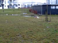 img_3991fx_small.jpg