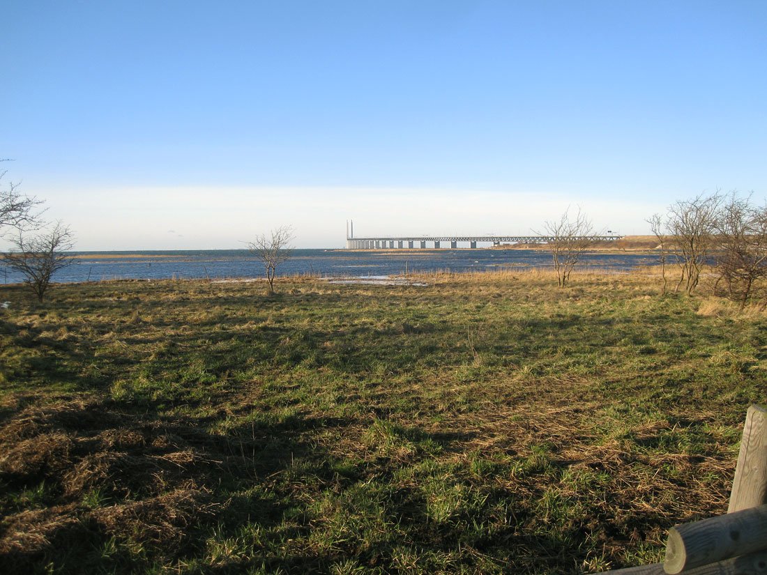 img_3997fx.jpg