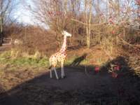 img_4001fx_small.jpg
