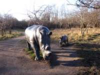 img_4006fx_small.jpg