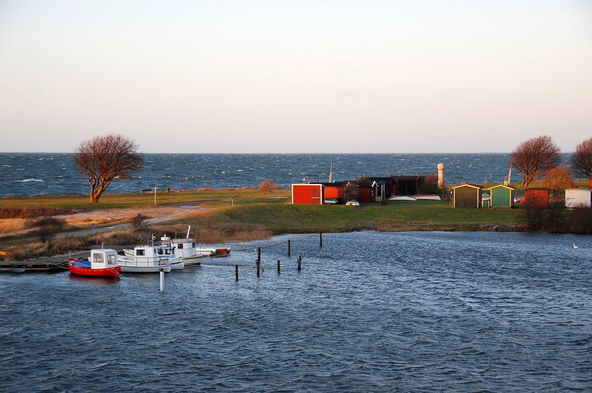 dsc_8346fx.jpg