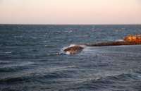 dsc_8351fx_small.jpg