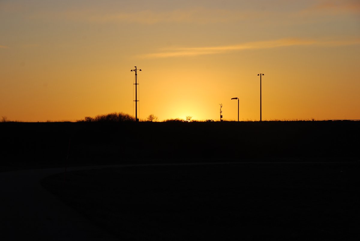 dsc_8361fx.jpg