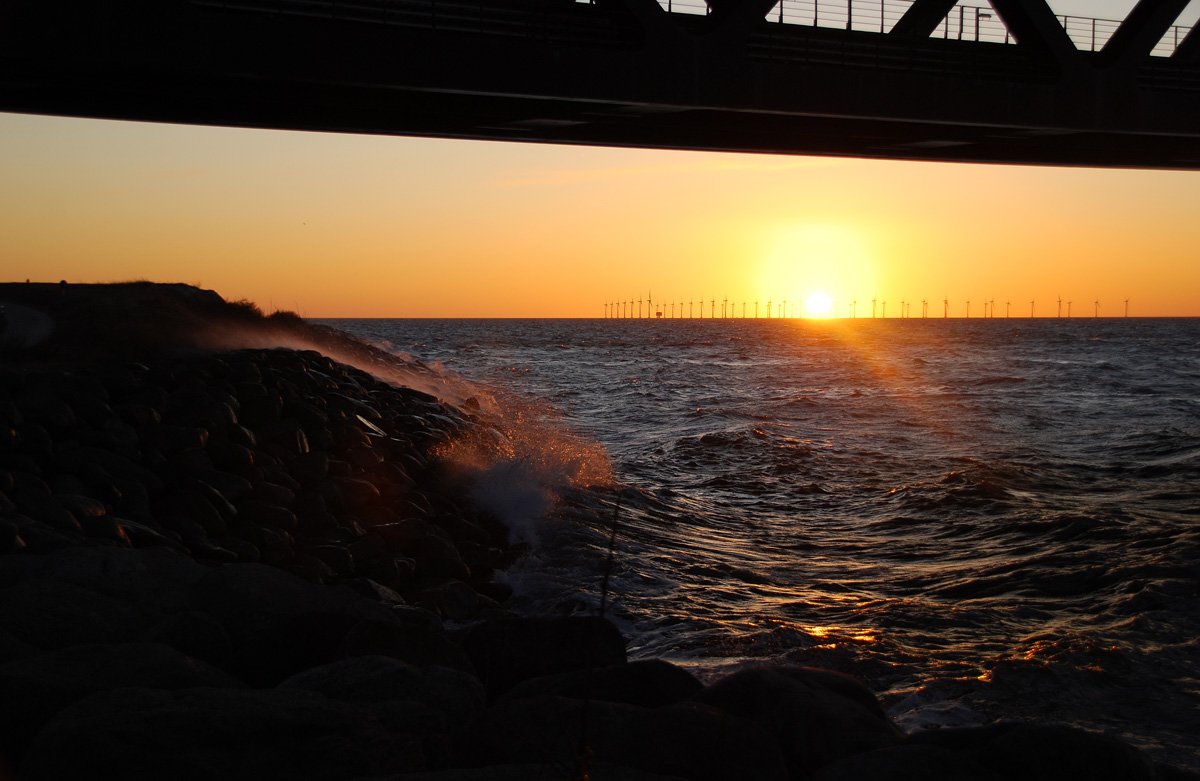 dsc_8366fx.jpg