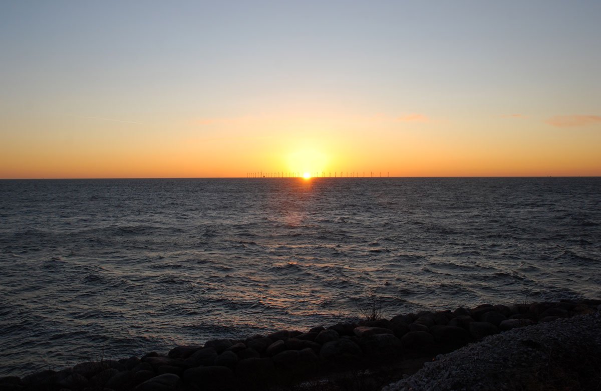dsc_8370fx.jpg