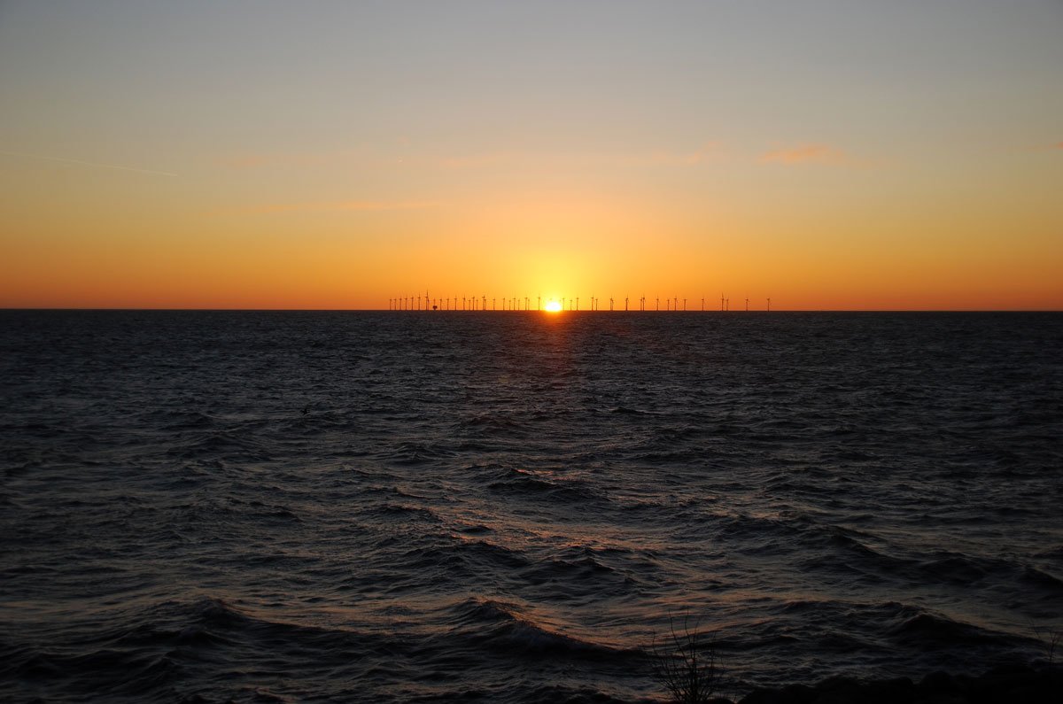 dsc_8377fx.jpg