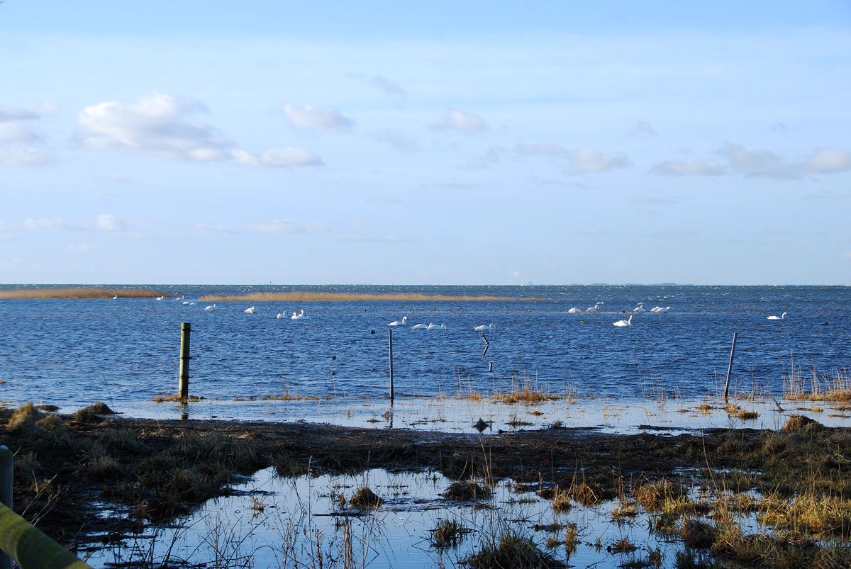 dsc_8386fx.jpg