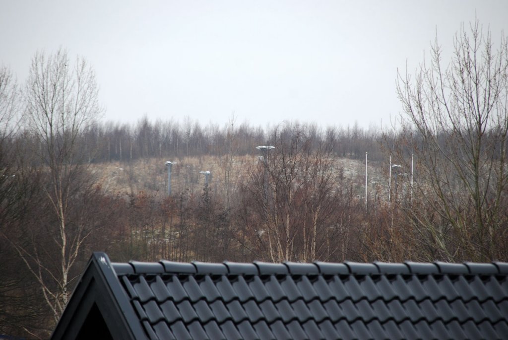 dsc_8406fx.jpg