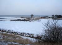 img_4090fx_small.jpg