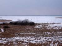 img_4098fx_small.jpg