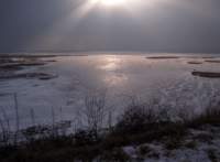 img_4102fx_small.jpg