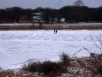 img_4105fx_small.jpg