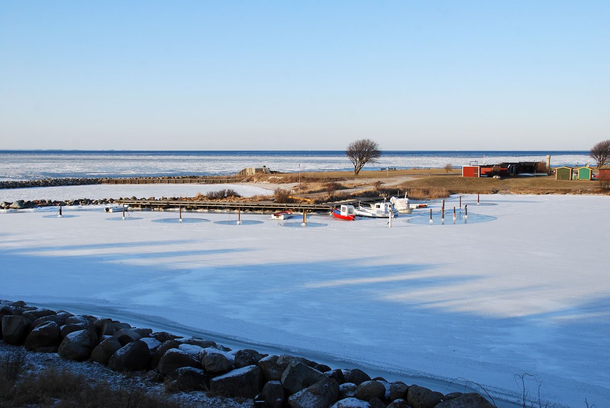 dsc_8414fx.jpg