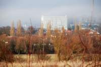 dsc_8488fx_small.jpg