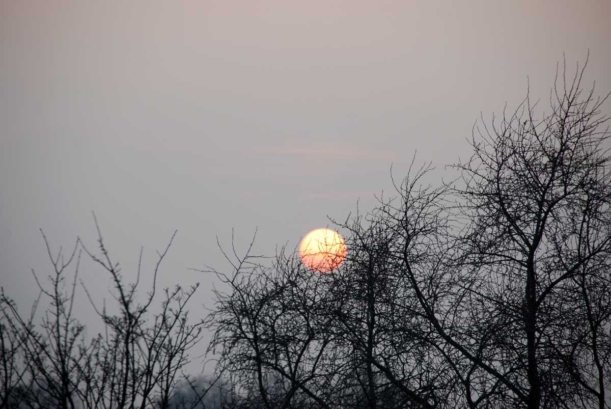 dsc_8517fx.jpg