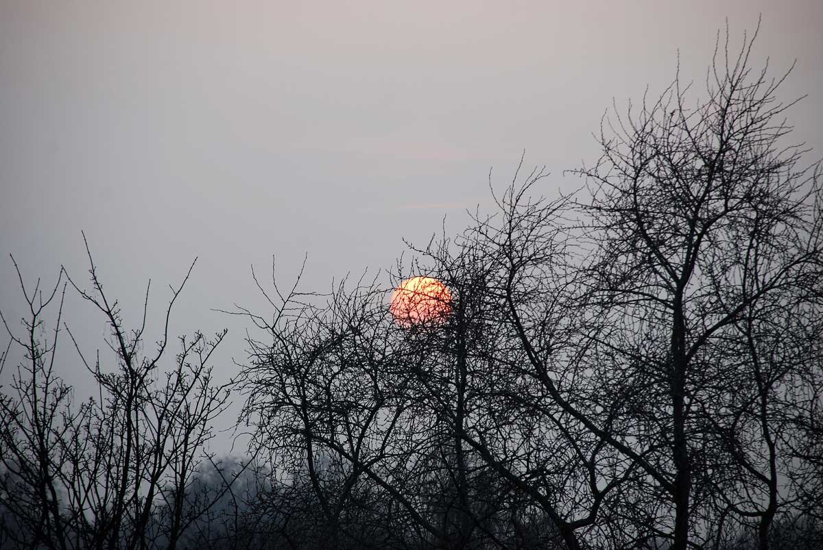 dsc_8520fx.jpg