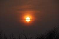 dsc_8521fx_small.jpg